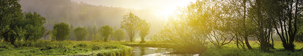 Bild mit Flusslauf, Wiese und Bäumen im Sonnenuntergang